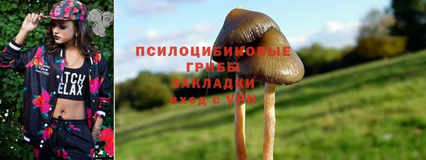 наркотики Алексин