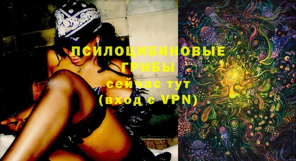 spice Алексеевка