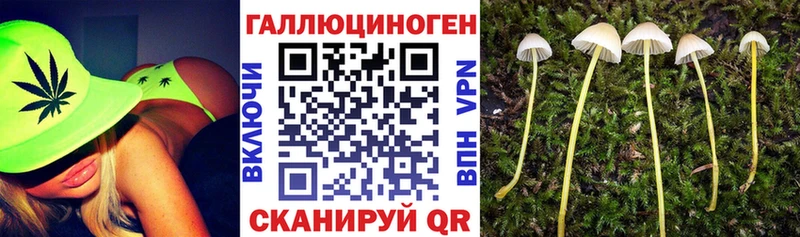 продажа наркотиков Суровикино Галлюциногенные грибы Psilocybe
